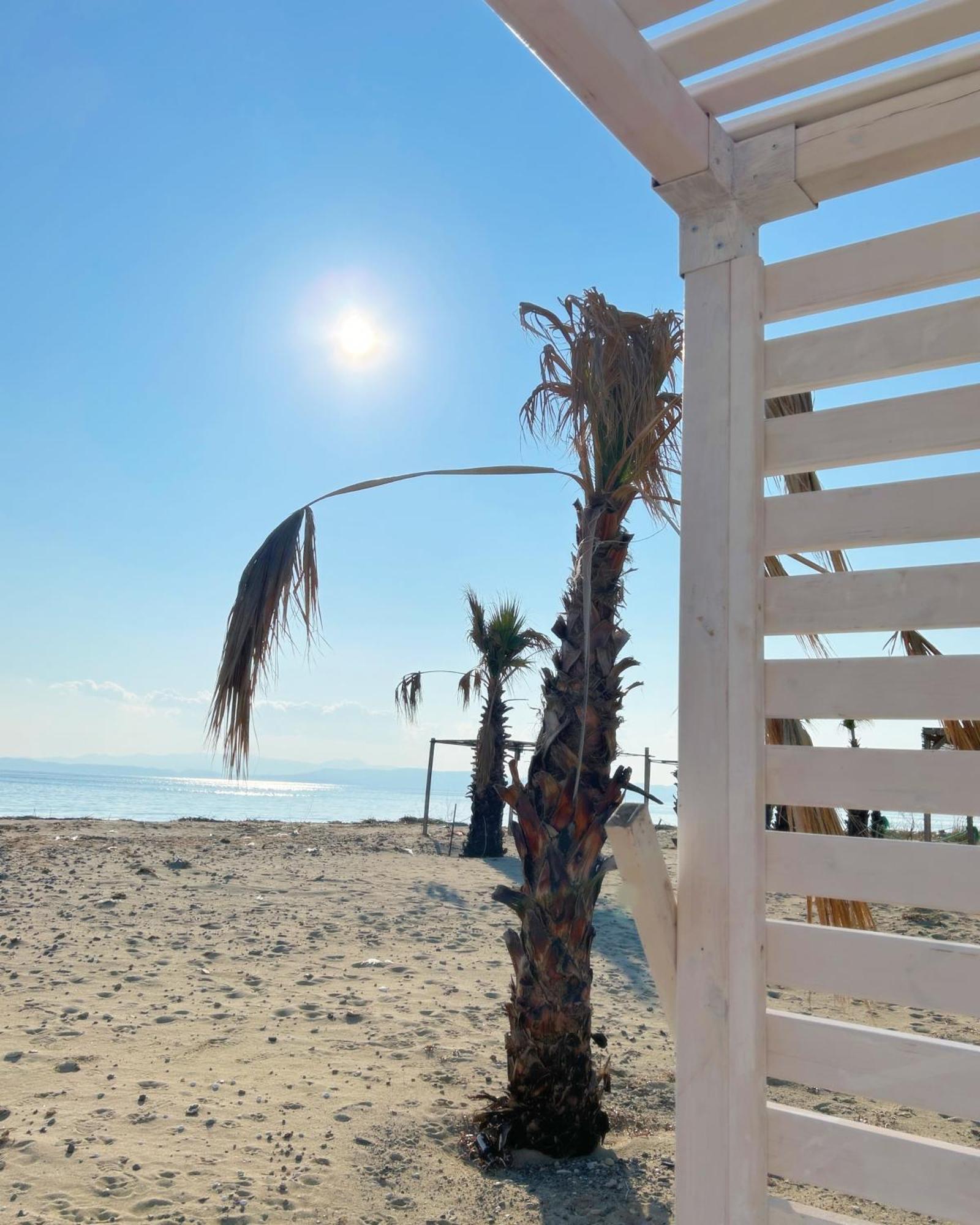 Hotel Soho Ayvalik Beach House à Küçükköy Extérieur photo